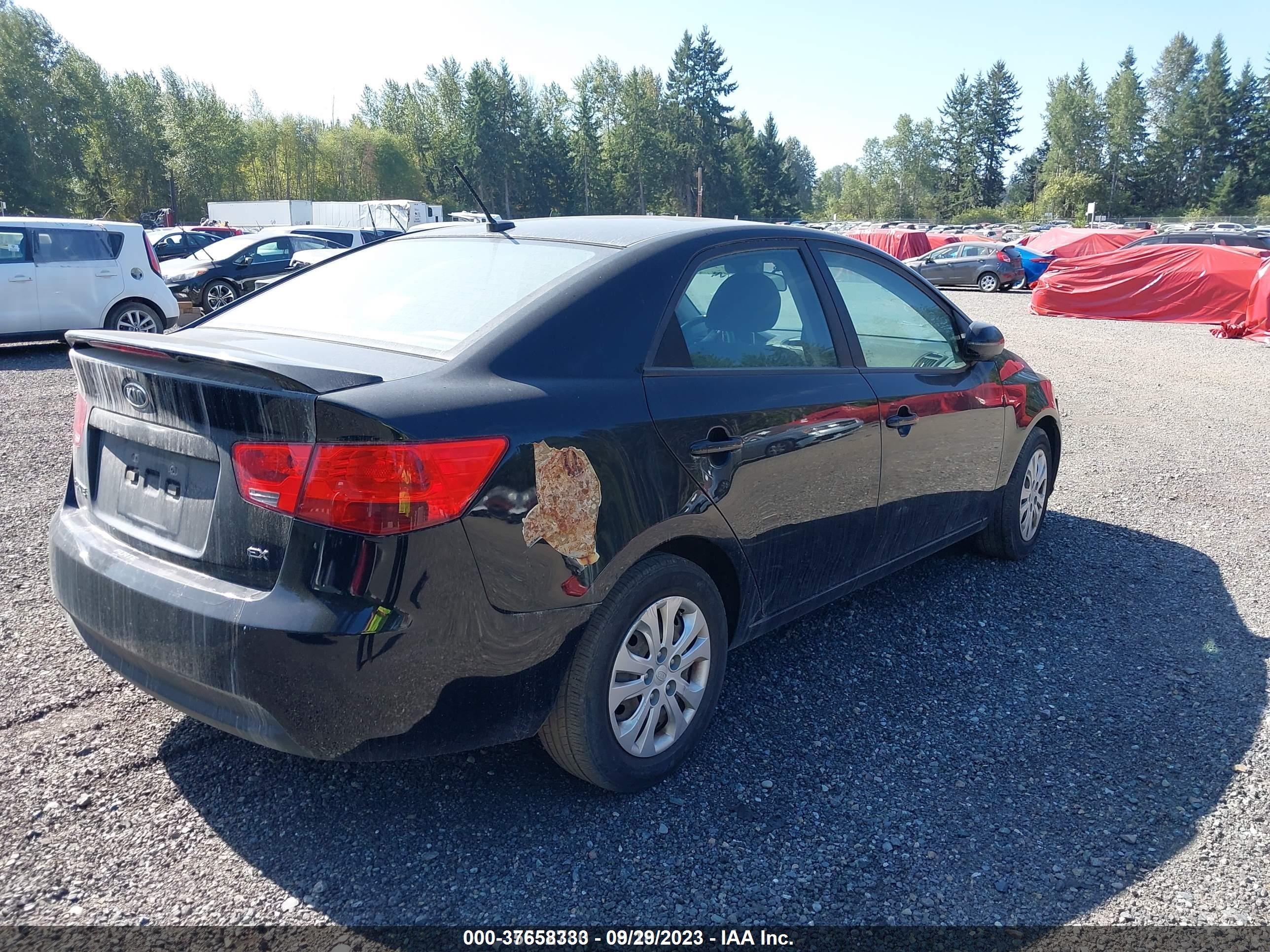 Photo 3 VIN: 5FRYD4H53HB008698 - KIA FORTE 