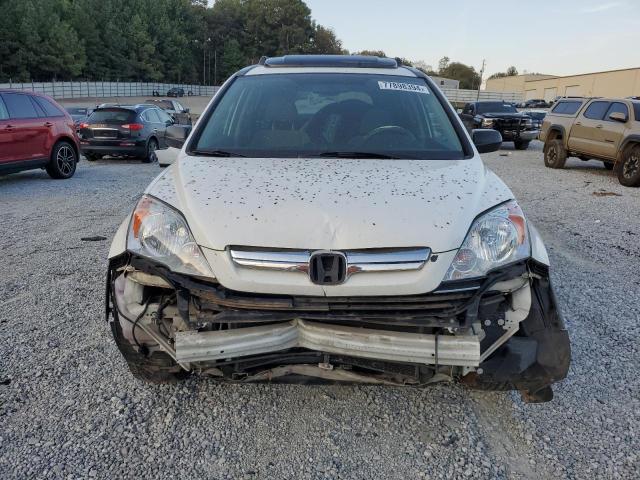 Photo 4 VIN: 5J6RE38559L008109 - HONDA CR-V EX 