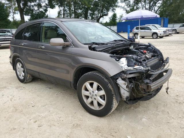 Photo 3 VIN: 5J6RE38719L013194 - HONDA CRV 