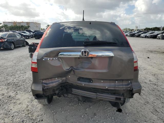 Photo 5 VIN: 5J6RE38789L006372 - HONDA CR-V EXL 