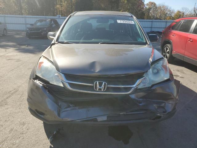 Photo 4 VIN: 5J6RE3H33AL018172 - HONDA CR-V LX 