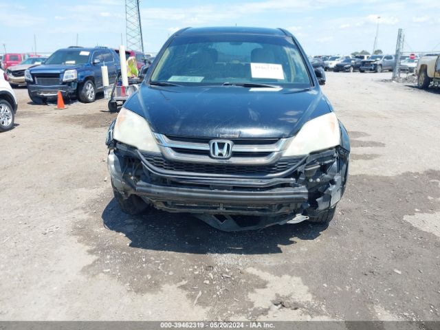 Photo 5 VIN: 5J6RE3H36AL006923 - HONDA CR-V 