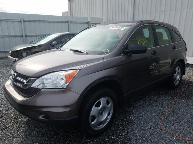 Photo 1 VIN: 5J6RE3H36AL011944 - HONDA CR-V LX 