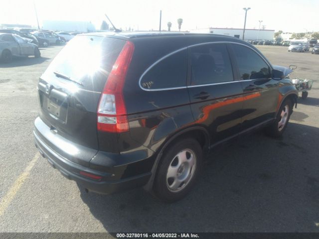 Photo 3 VIN: 5J6RE3H36BL010276 - HONDA CR-V 