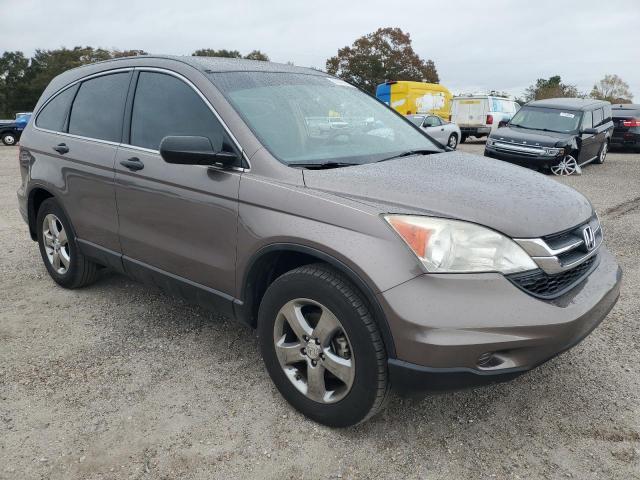 Photo 3 VIN: 5J6RE3H37AL047464 - HONDA CR-V LX 