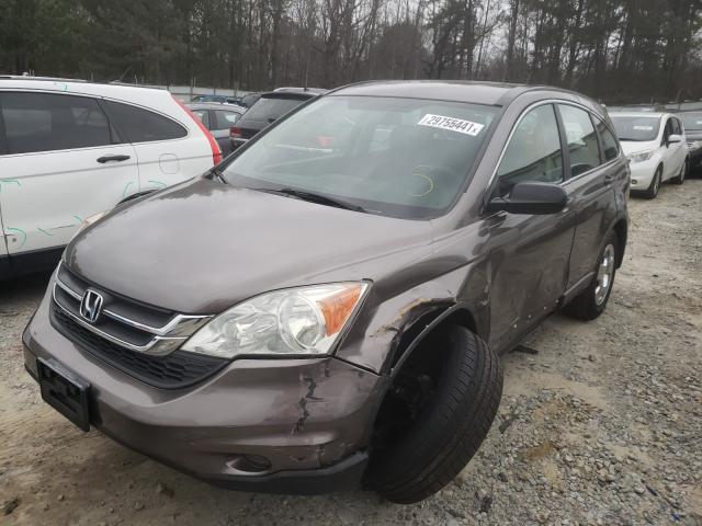 Photo 1 VIN: 5J6RE3H39BL014175 - HONDA CR-V LX 