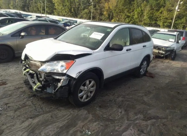 Photo 1 VIN: 5J6RE3H41BL031724 - HONDA CR-V 