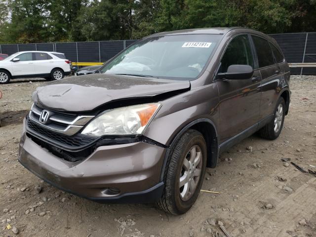 Photo 1 VIN: 5J6RE3H45BL010844 - HONDA CR-V SE 