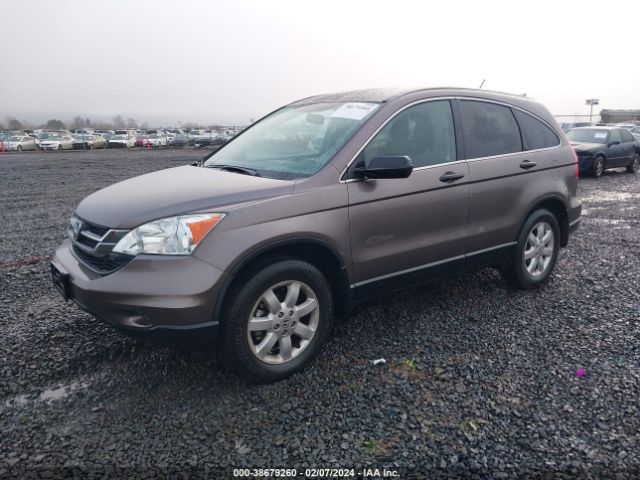 Photo 1 VIN: 5J6RE3H46BL005006 - HONDA CR-V 