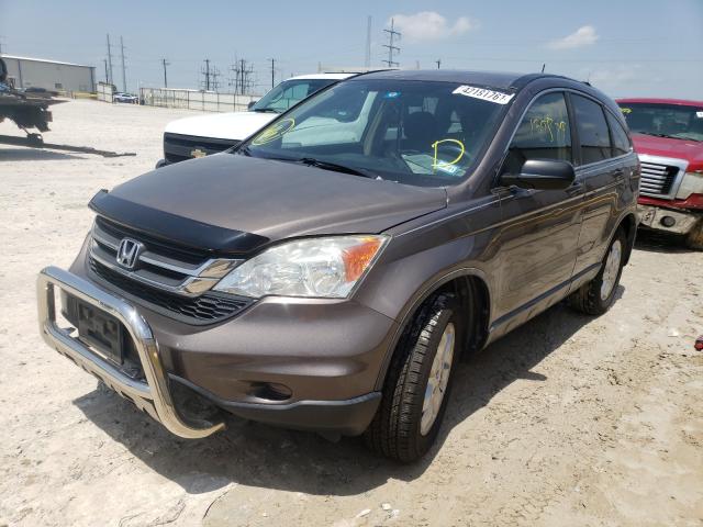 Photo 1 VIN: 5J6RE3H46BL005183 - HONDA CR-V SE 