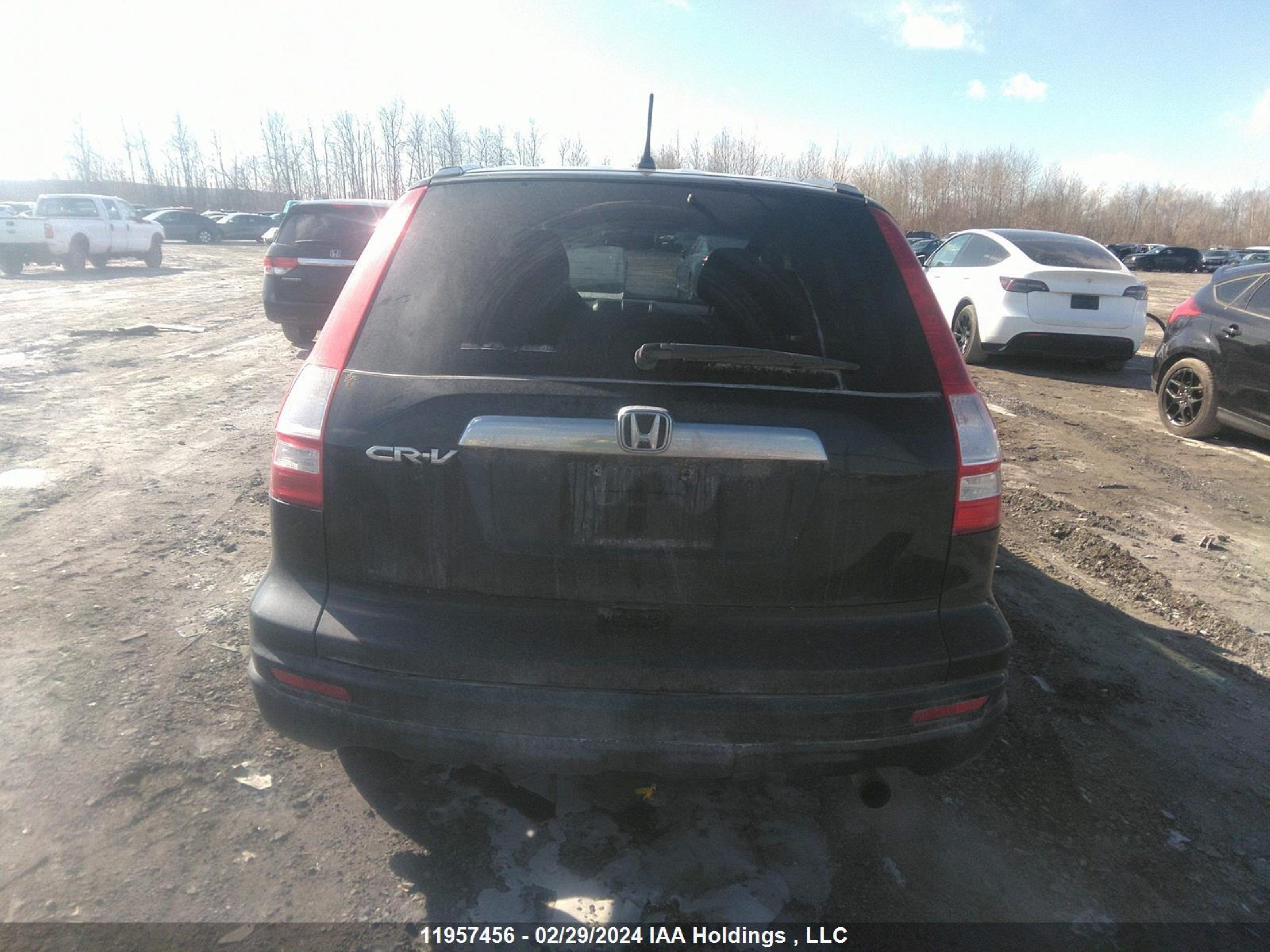 Photo 15 VIN: 5J6RE3H55AL802905 - HONDA CR-V 