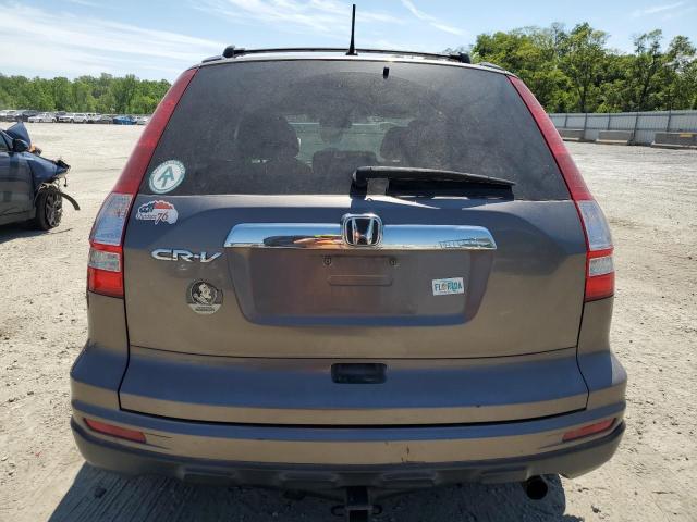 Photo 5 VIN: 5J6RE3H56AL007569 - HONDA CRV 