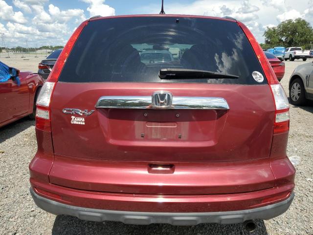 Photo 5 VIN: 5J6RE3H56BL038709 - HONDA CRV 