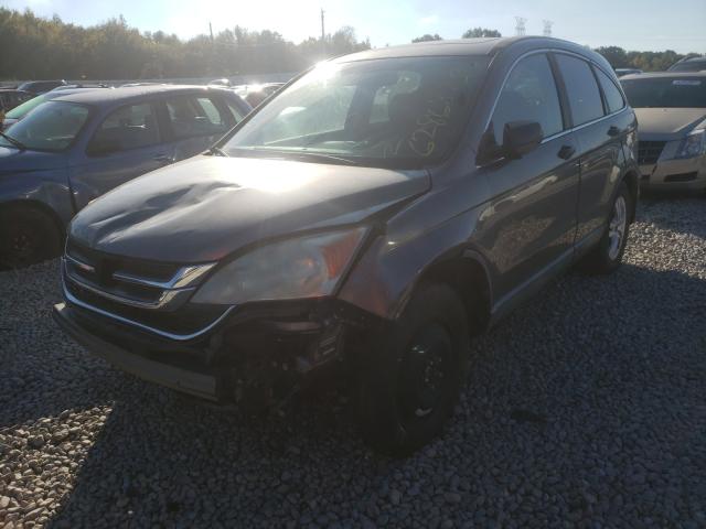 Photo 1 VIN: 5J6RE3H57AL007600 - HONDA CR-V EX 