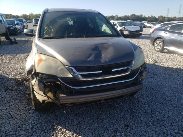 Photo 8 VIN: 5J6RE3H57AL007600 - HONDA CR-V EX 