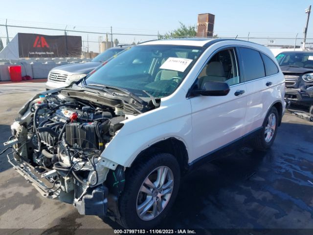 Photo 1 VIN: 5J6RE3H59AL032854 - HONDA CR-V 