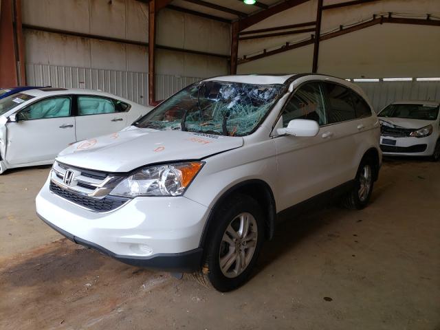 Photo 1 VIN: 5J6RE3H76BL023984 - HONDA CR-V EXL 