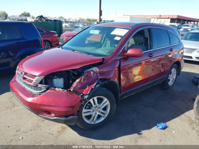 Photo 1 VIN: 5J6RE3H76BL040557 - HONDA CR-V 