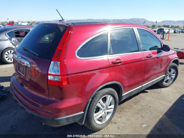 Photo 3 VIN: 5J6RE3H76BL040557 - HONDA CR-V 