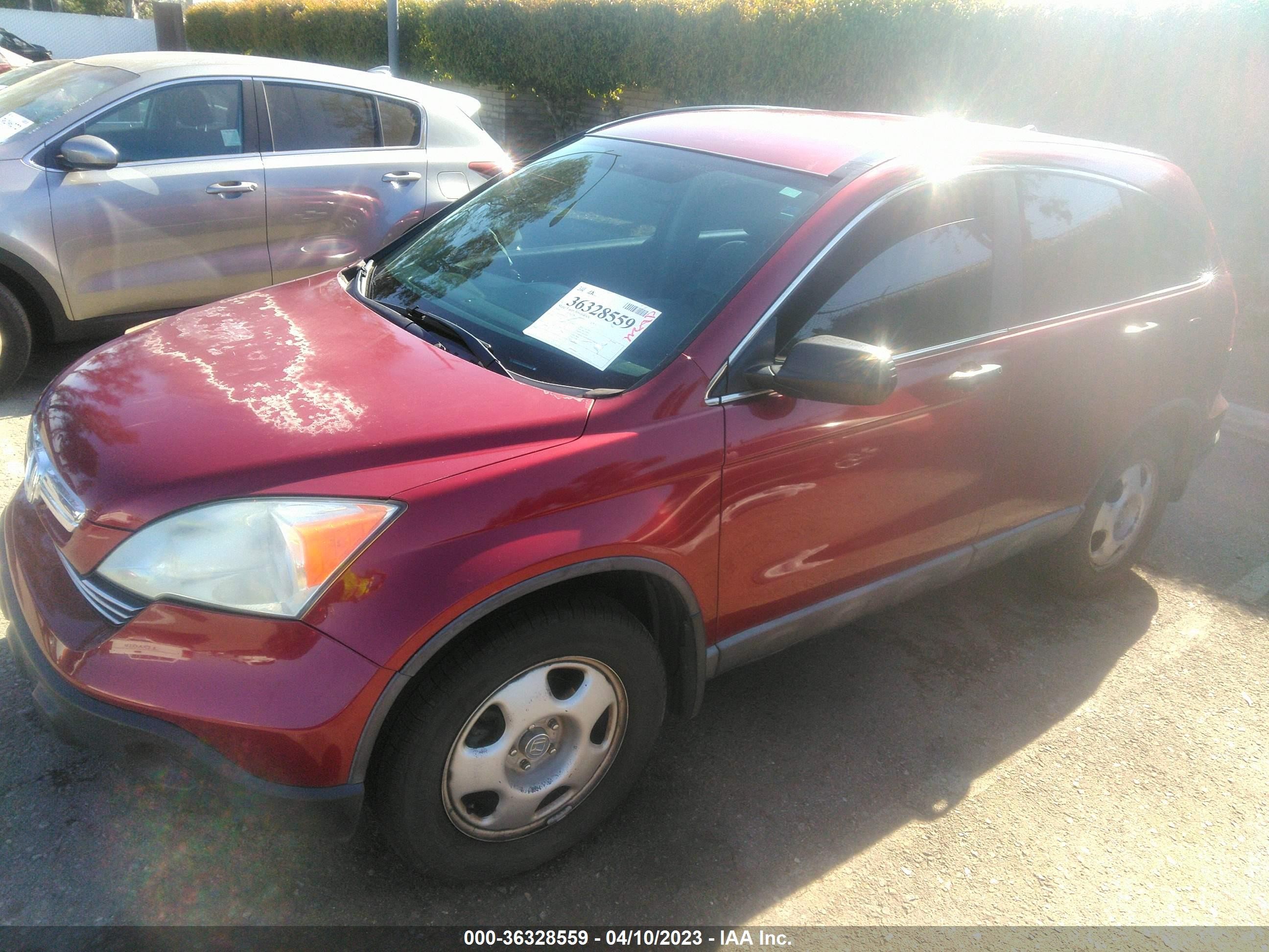 Photo 1 VIN: 5J6RE48309L019006 - HONDA CR-V 