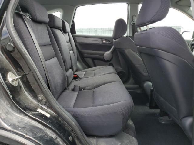 Photo 10 VIN: 5J6RE48309L813374 - HONDA CRV 