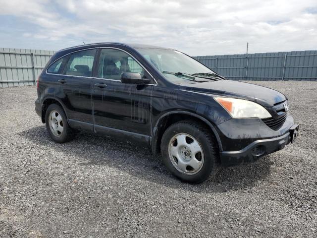 Photo 3 VIN: 5J6RE48309L813374 - HONDA CRV 