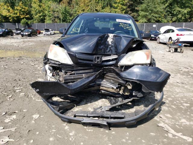 Photo 4 VIN: 5J6RE48369L012819 - HONDA CR-V LX 