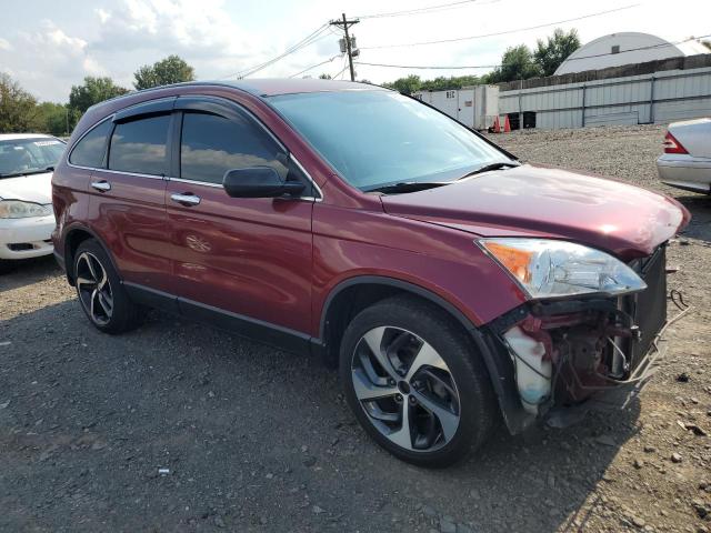 Photo 3 VIN: 5J6RE48369L014277 - HONDA CRV 