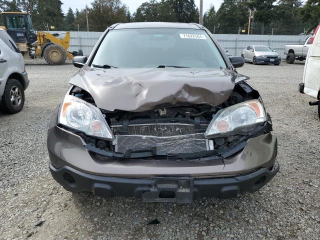 Photo 4 VIN: 5J6RE48369L033248 - HONDA CR-V LX 