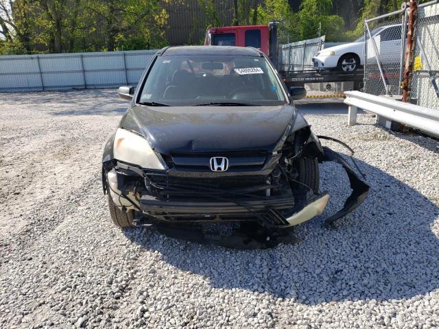 Photo 4 VIN: 5J6RE48379L028415 - HONDA CRV 