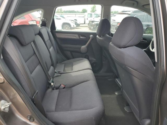 Photo 10 VIN: 5J6RE48389L028472 - HONDA CRV 