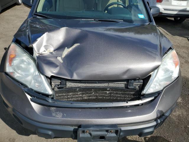 Photo 10 VIN: 5J6RE48389L063836 - HONDA CRV 