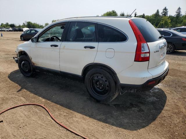 Photo 1 VIN: 5J6RE48509L800397 - HONDA CR-V EX 