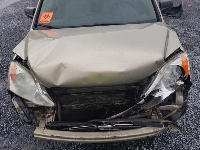 Photo 10 VIN: 5J6RE48517L007252 - HONDA CRV 