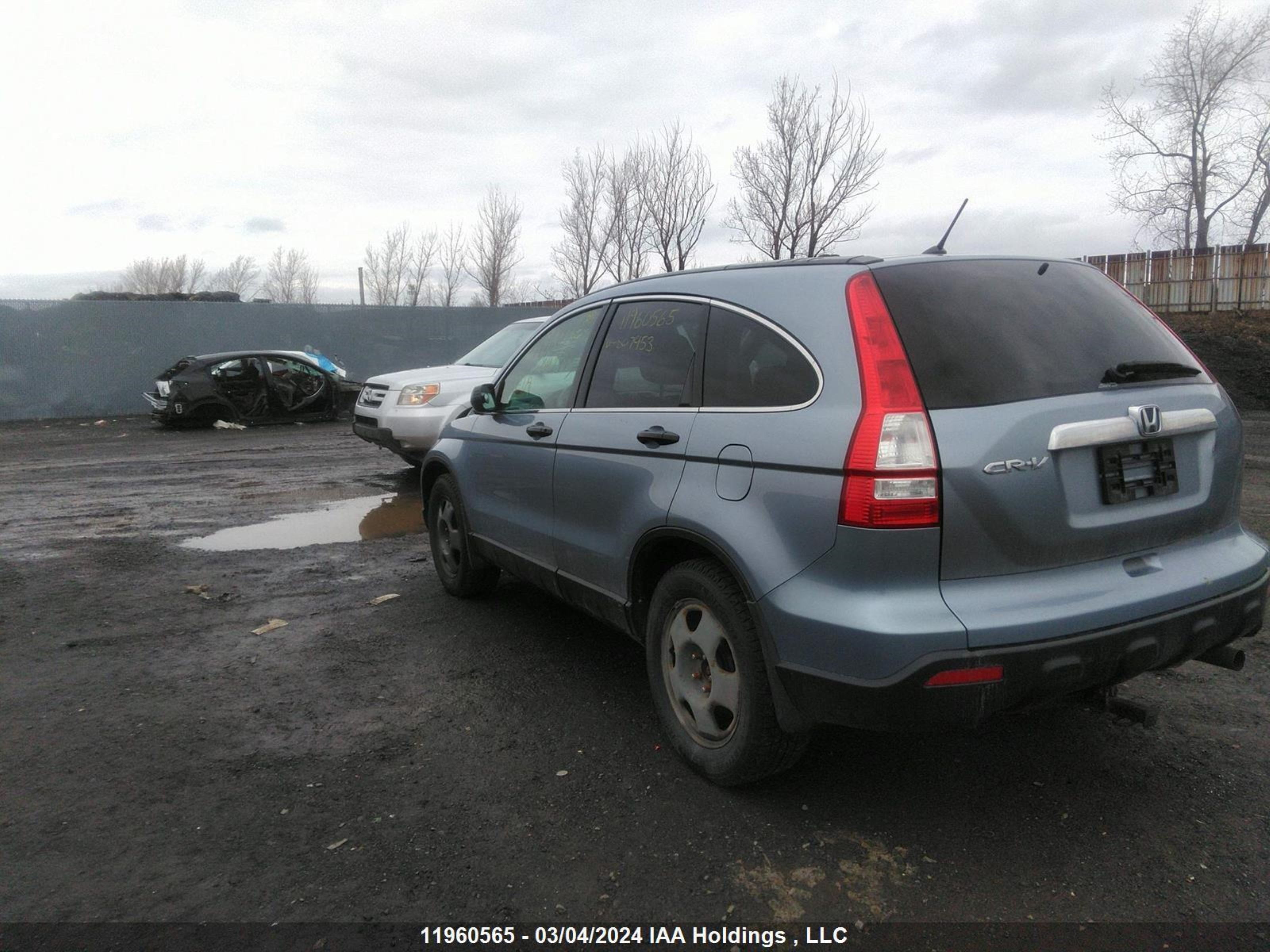 Photo 3 VIN: 5J6RE48517L807453 - HONDA CR-V 