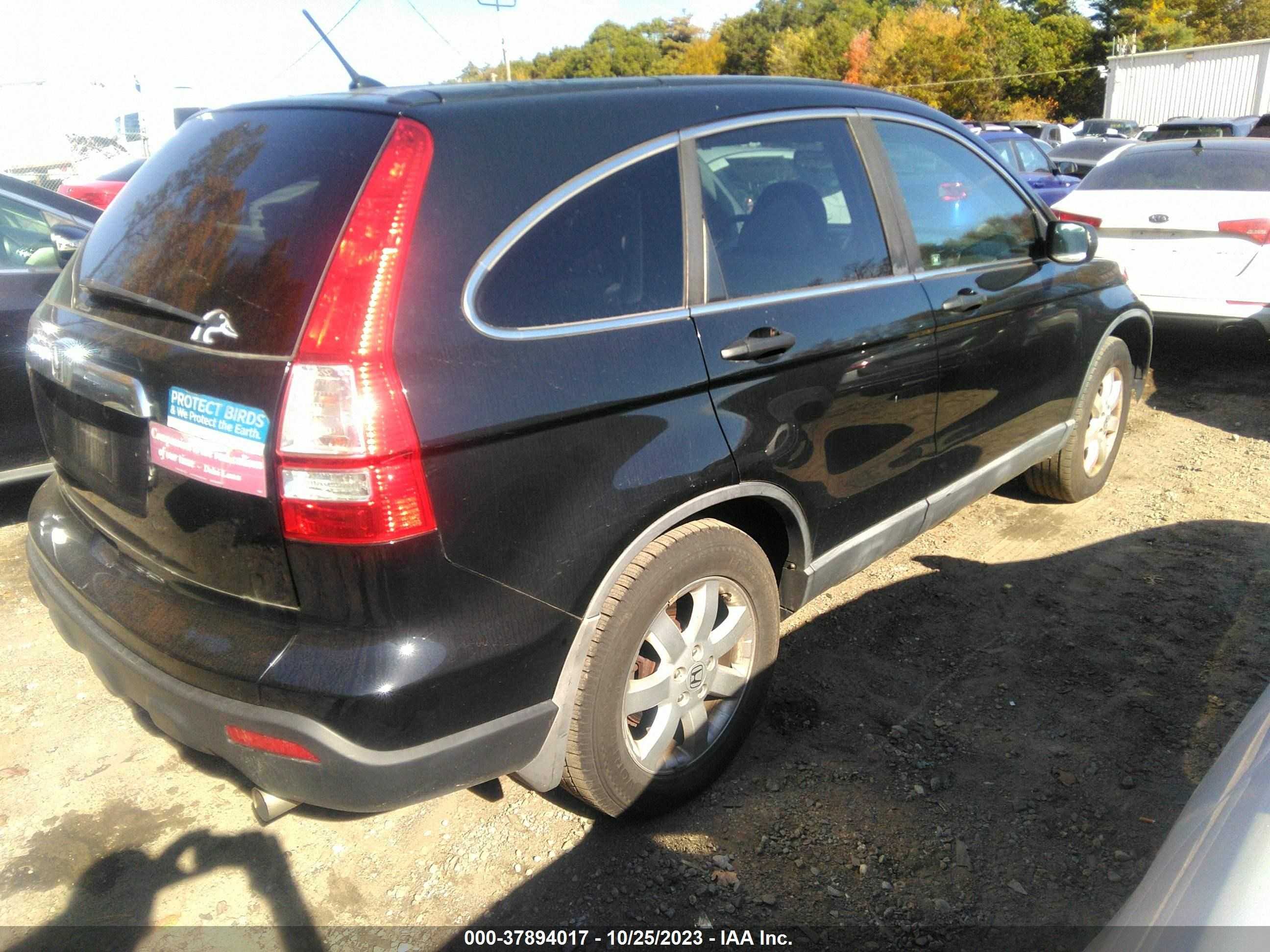 Photo 3 VIN: 5J6RE48519L055756 - HONDA CR-V 