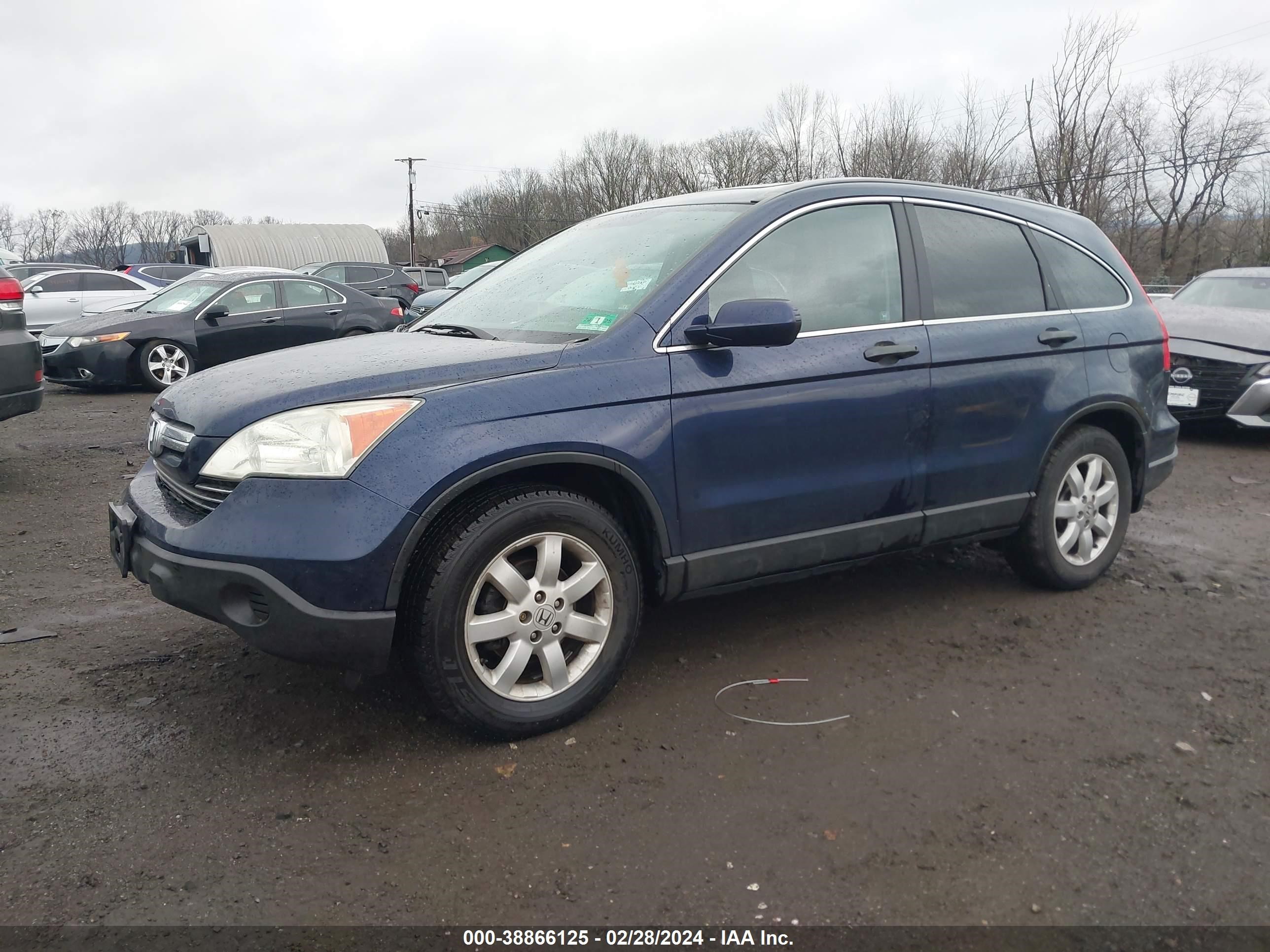 Photo 1 VIN: 5J6RE48529L055412 - HONDA CR-V 