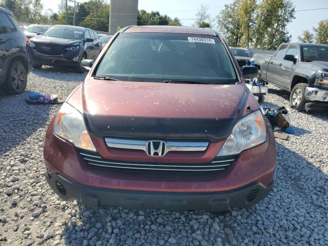 Photo 4 VIN: 5J6RE48537L810256 - HONDA CR-V EX 