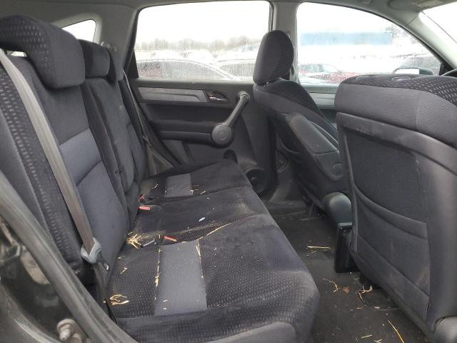 Photo 10 VIN: 5J6RE48538L034485 - HONDA CRV 