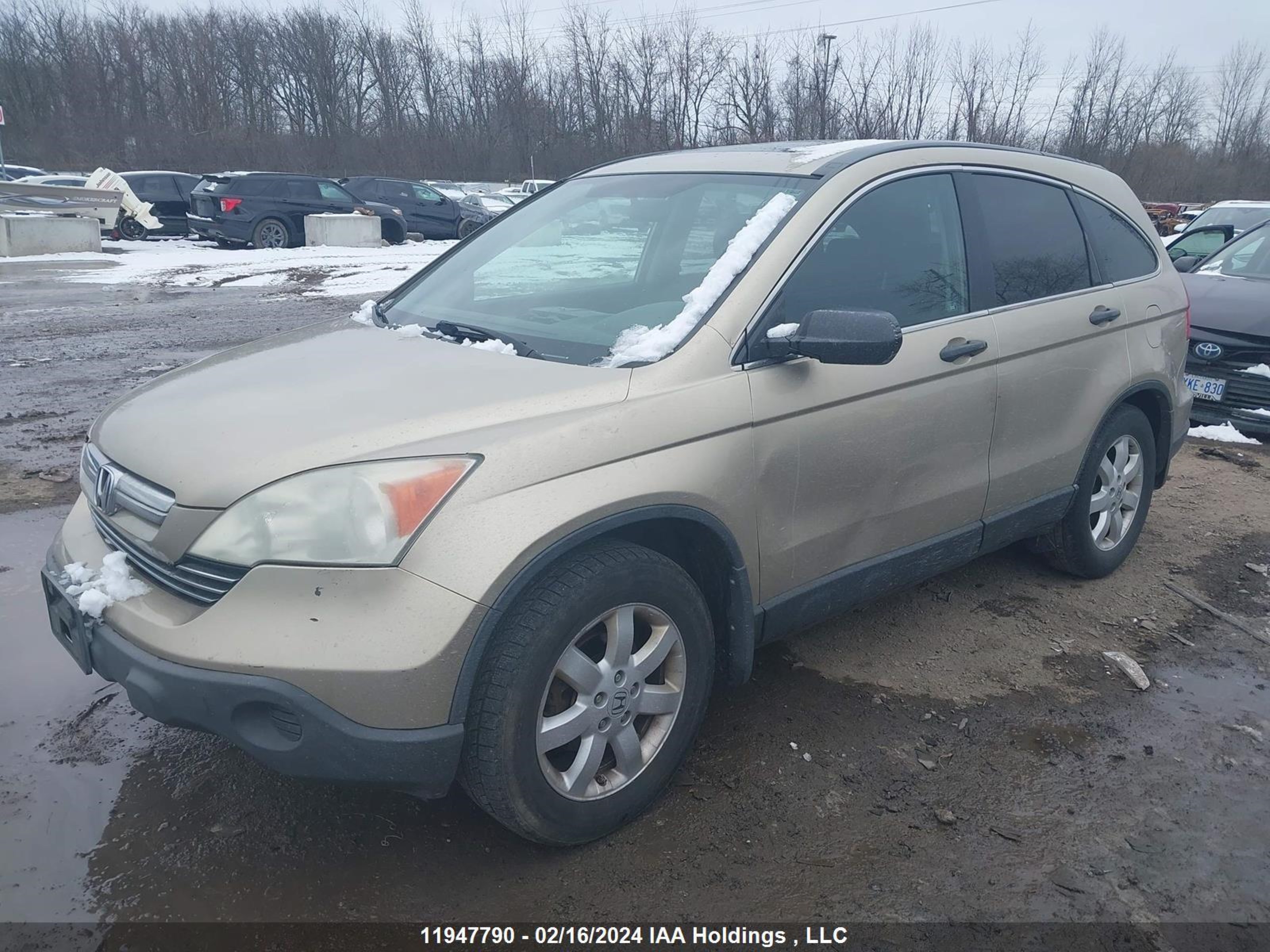 Photo 1 VIN: 5J6RE48547L811917 - HONDA CR-V 