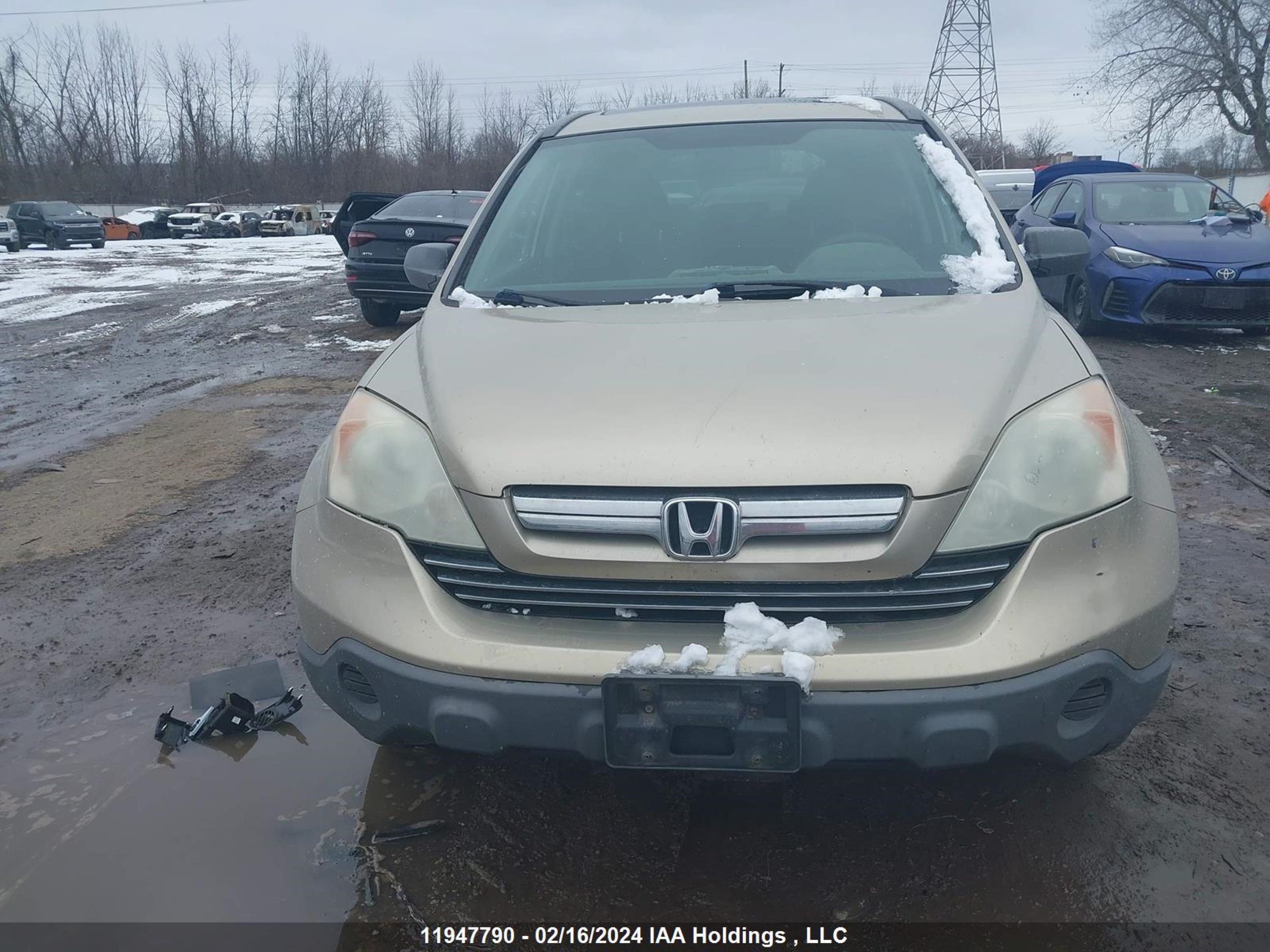 Photo 11 VIN: 5J6RE48547L811917 - HONDA CR-V 