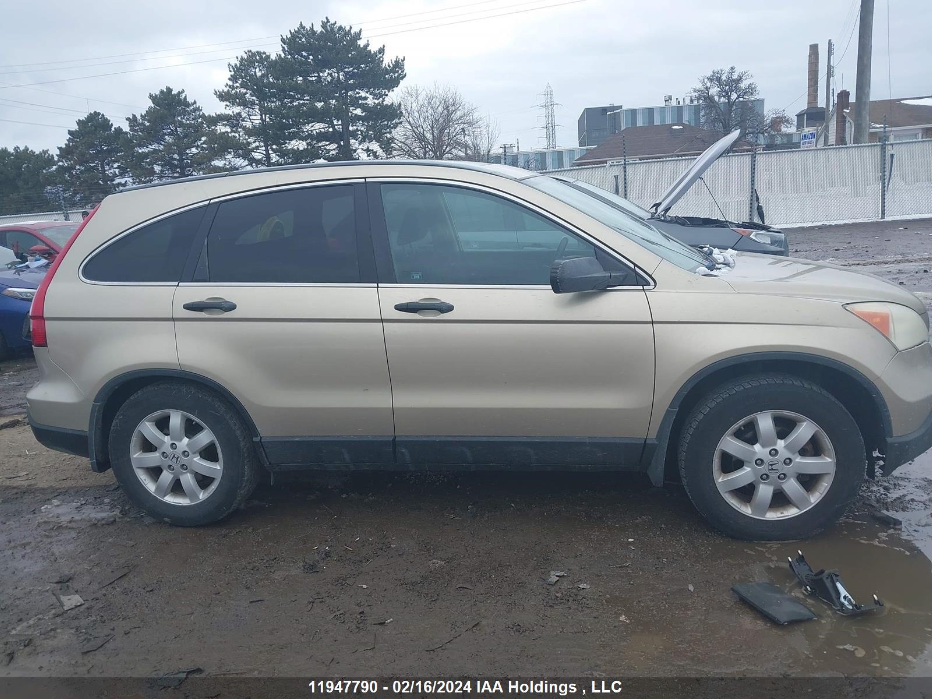 Photo 12 VIN: 5J6RE48547L811917 - HONDA CR-V 