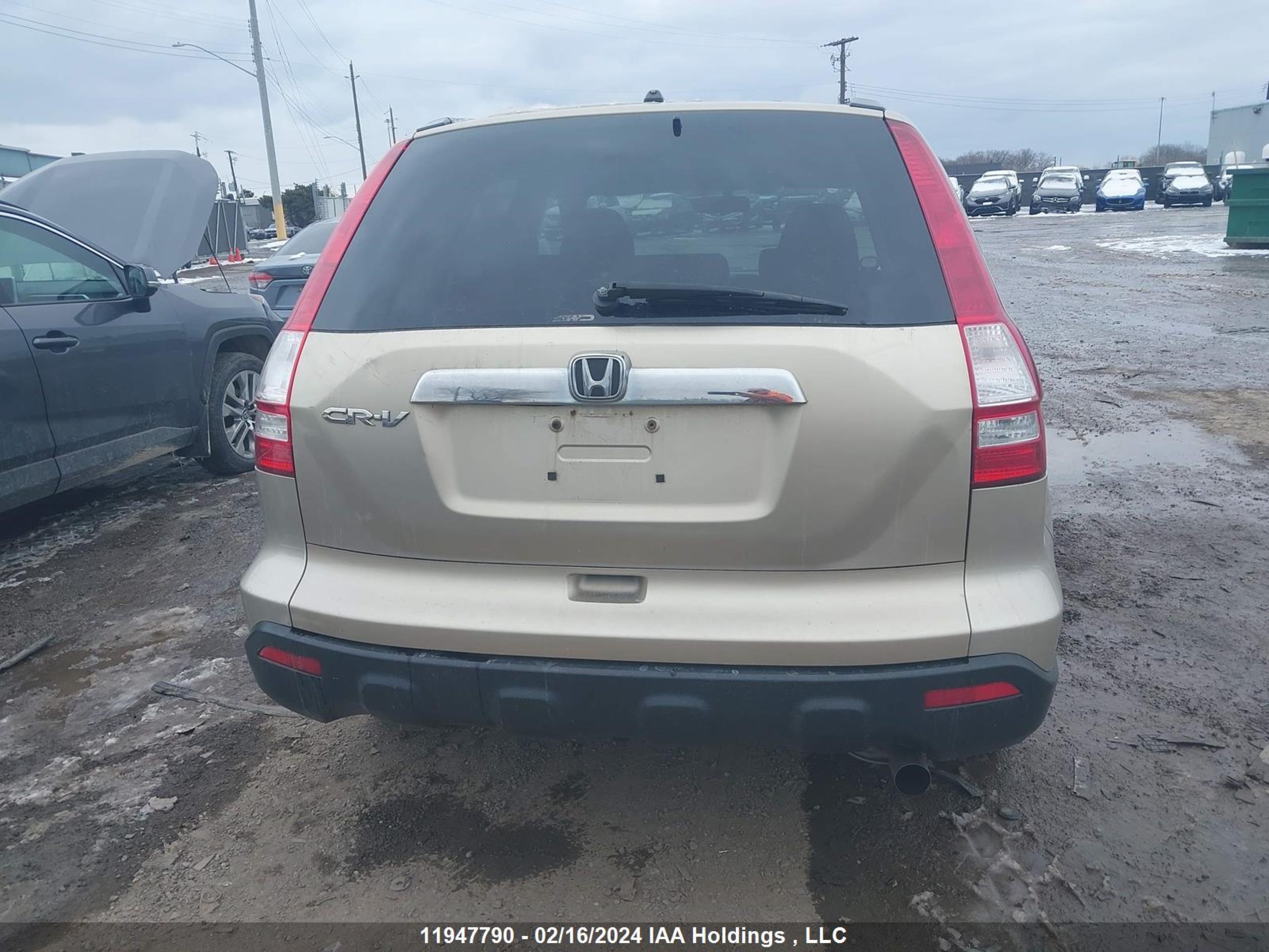 Photo 15 VIN: 5J6RE48547L811917 - HONDA CR-V 