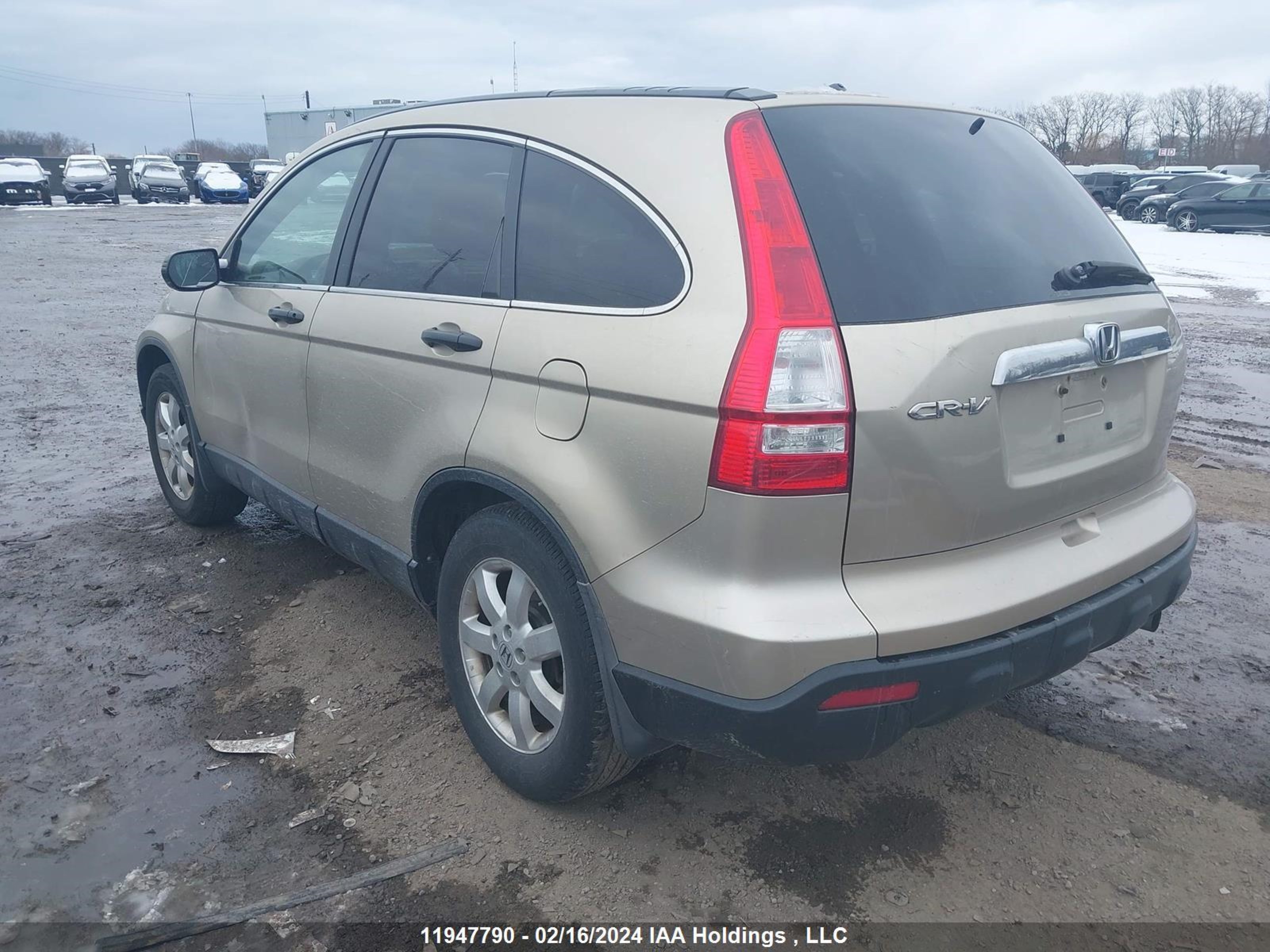 Photo 2 VIN: 5J6RE48547L811917 - HONDA CR-V 