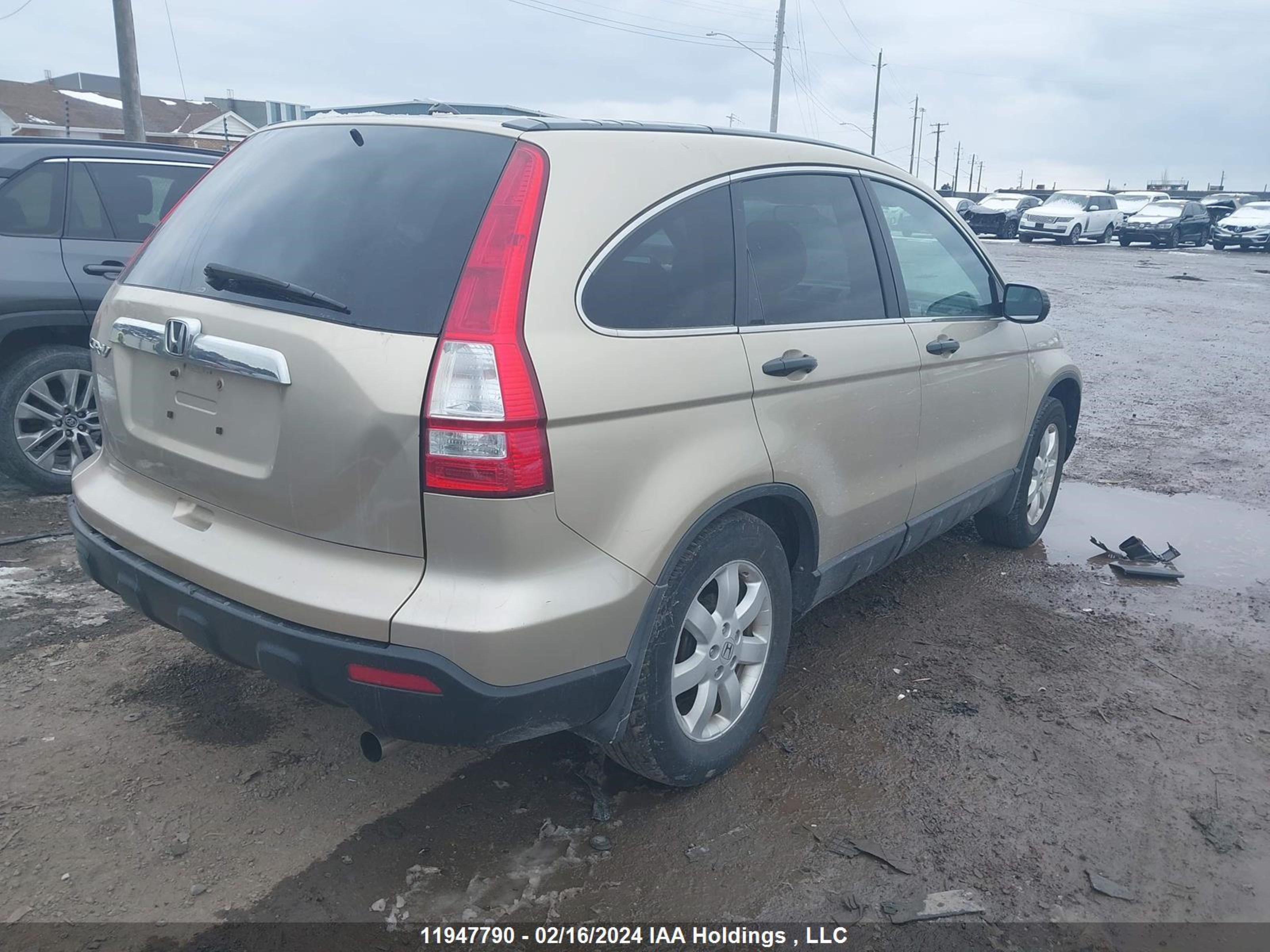 Photo 3 VIN: 5J6RE48547L811917 - HONDA CR-V 