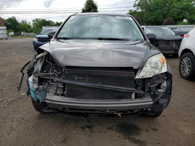 Photo 4 VIN: 5J6RE48579L061335 - HONDA CRV 