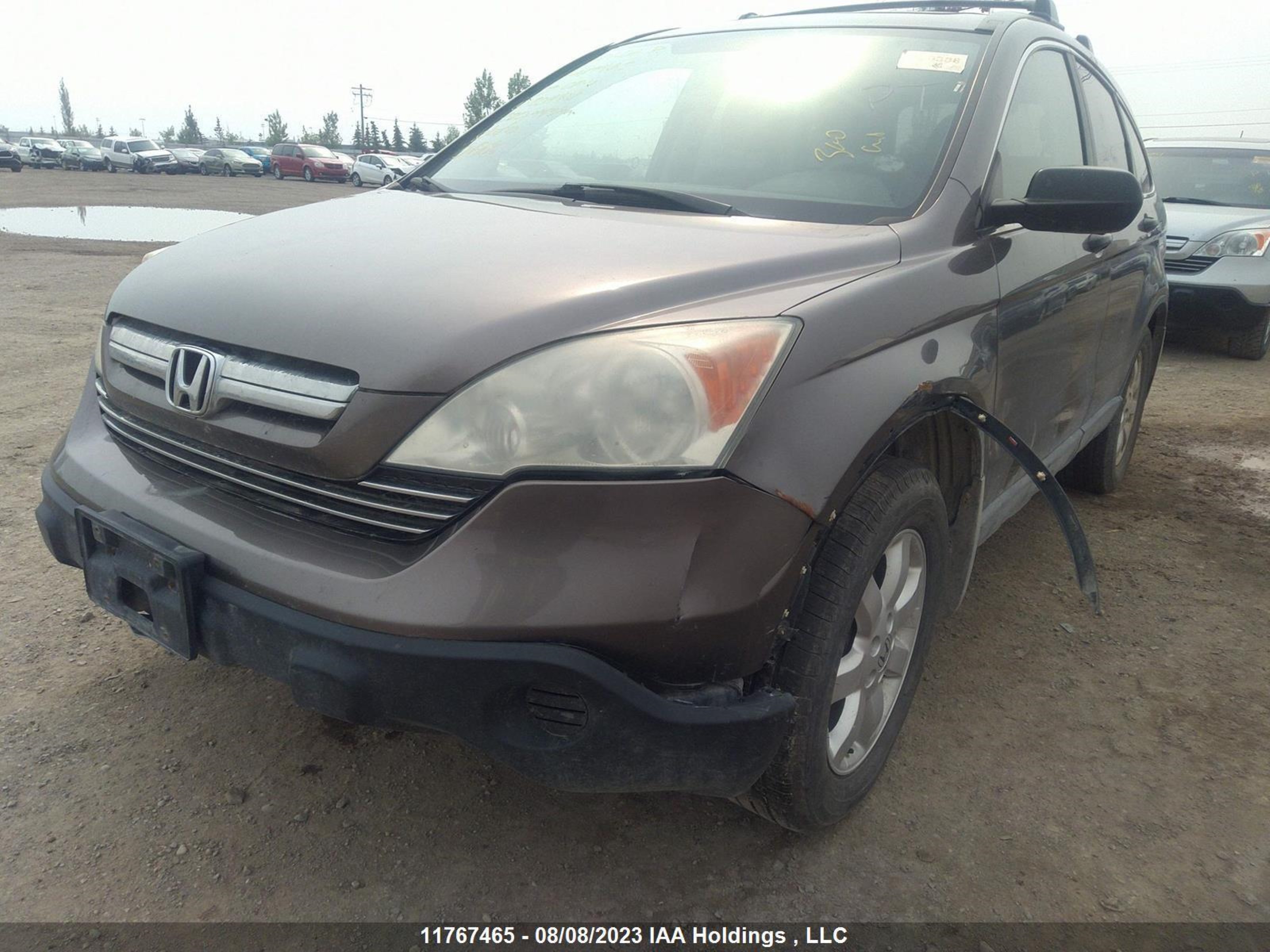 Photo 6 VIN: 5J6RE48599L804481 - HONDA CR-V 