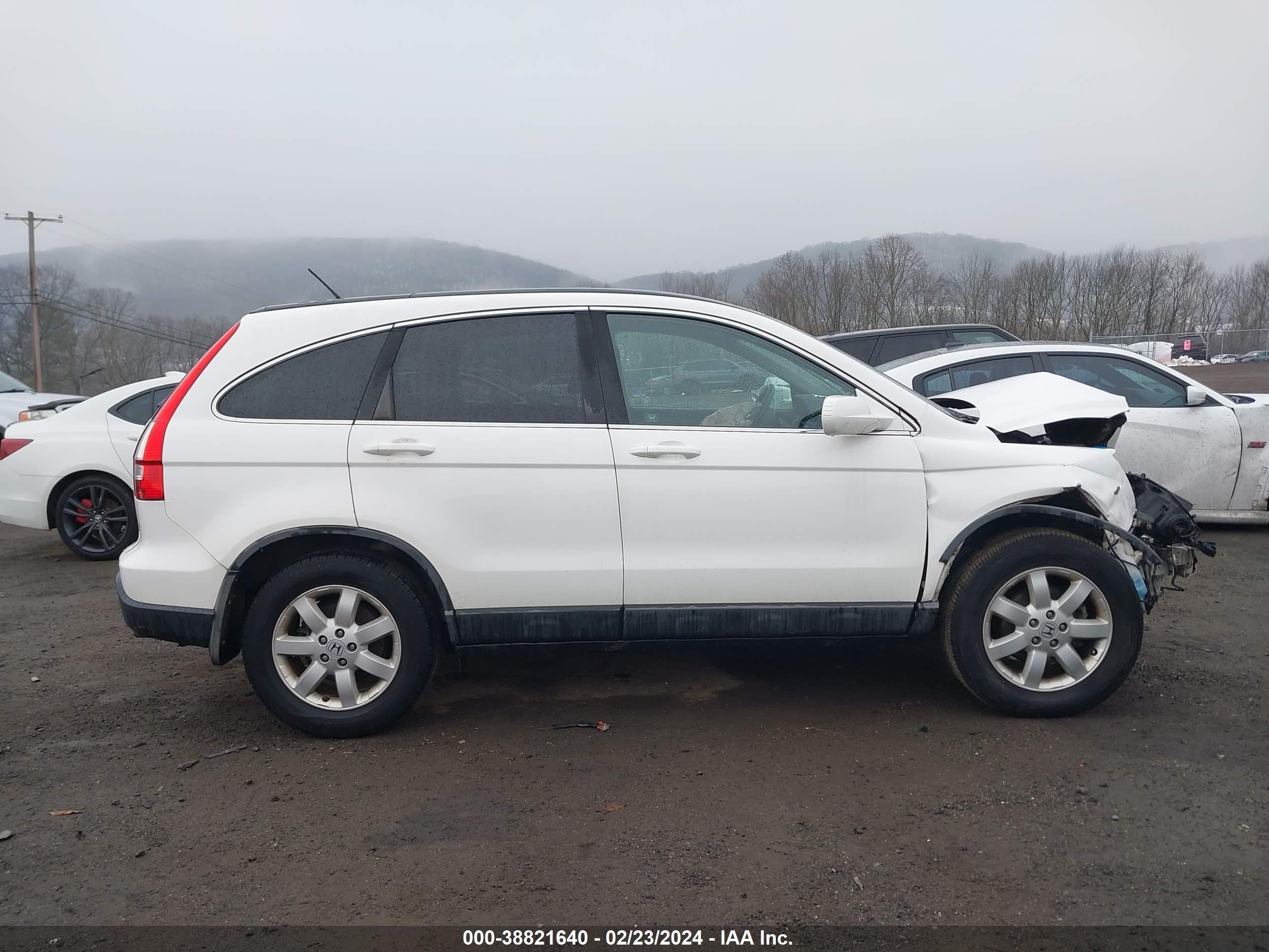 Photo 12 VIN: 5J6RE48709L017582 - HONDA CR-V 