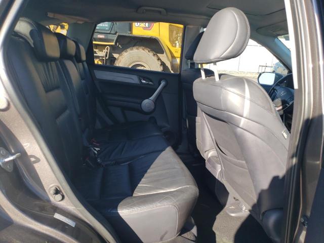 Photo 10 VIN: 5J6RE48719L056035 - HONDA CRV 