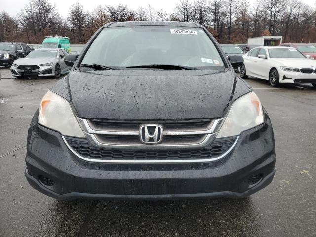 Photo 4 VIN: 5J6RE48719L056150 - HONDA CRV 